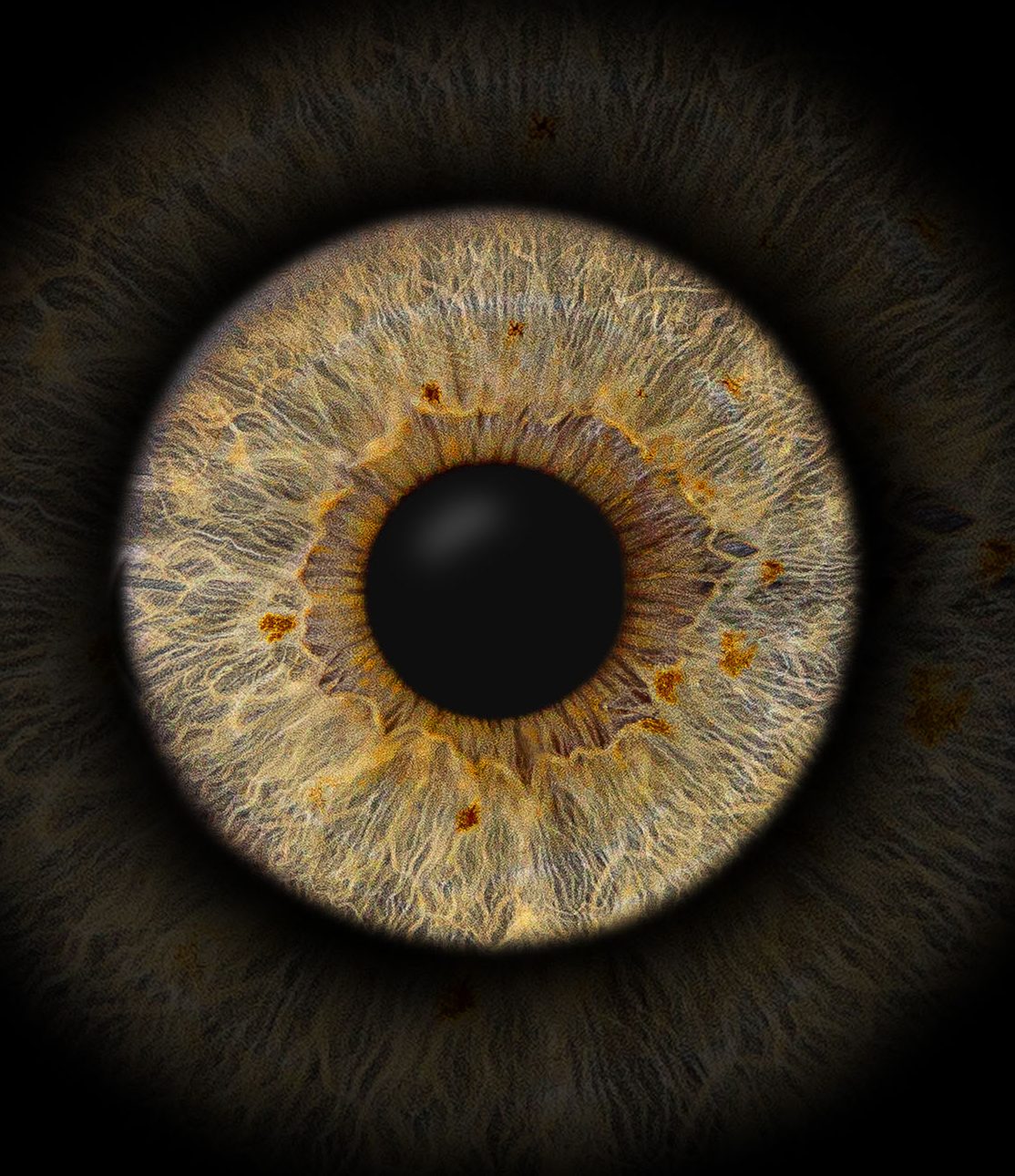 Faszinierende Makroaufnahme einer menschlichen Iris mit individuellen Strukturen, professionelle Irisfotografie im Fotostudio Würzburg.