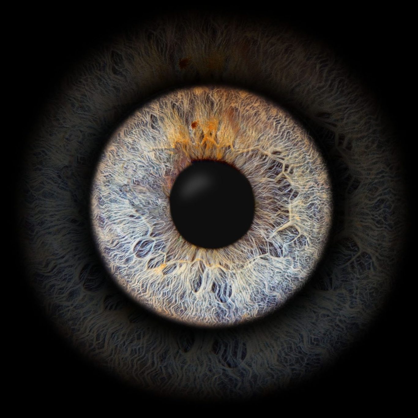 Faszinierende Makroaufnahme einer Iris mit individuellen Strukturen, professionelle Irisfotografie im Fotostudio Mondelli in Würzburg.