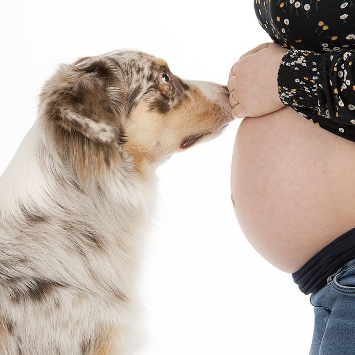 Liebevolles Babybauchshooting in Würzburg: Schwangere Frau posiert mit ihrem Hund für eine bleibende Erinnerung im Fotostudio.